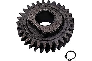 71ShbB4z3eL._AC_UL320_